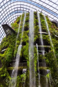 Cloud Forest Dome at Gardens by the Bay in Singapore - nature background